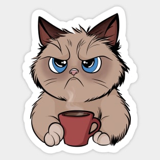 Cat Needs Coffee Sticker